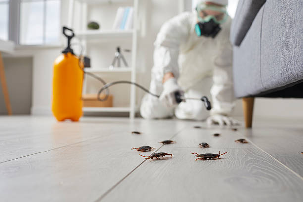 Trusted Cockroach Control service in West Point, NY - Nex Pest Control