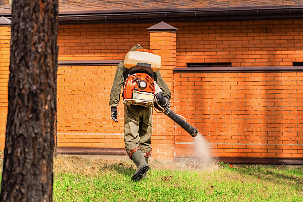 Trusted Bed Bug Control service in West Point, NY - Nex Pest Control